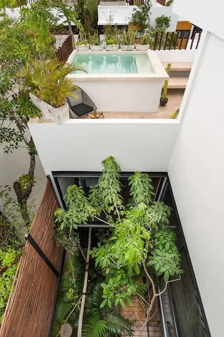 Semesterbostad Chic Townhouse With Private Pool And Rooftop View Tulum Mexiko
